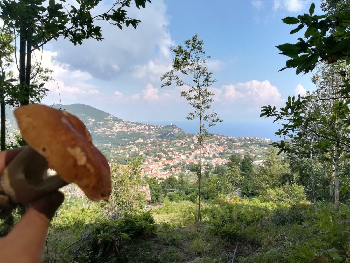Blanche Daire Agerola Dış mekan fotoğraf